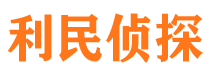 庐阳市私家侦探